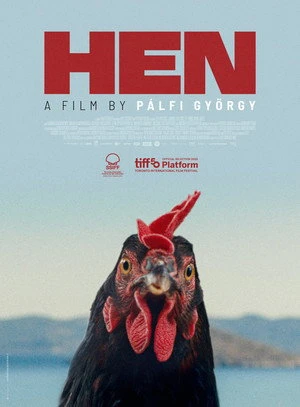 Kota aka Hen 2026 - Greek Dual Audio WEB-DL | Hindi Full Movie