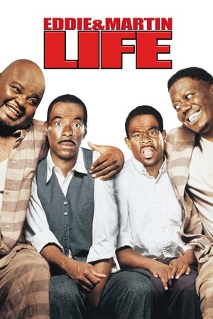 Life (1999) Dual Audio | Hindi Full Movie BluRay [1.3GB]