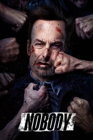 Nobody (2021) (Cleaned) Dual Audio | Hindi Full Movie Web-DL [880MB]